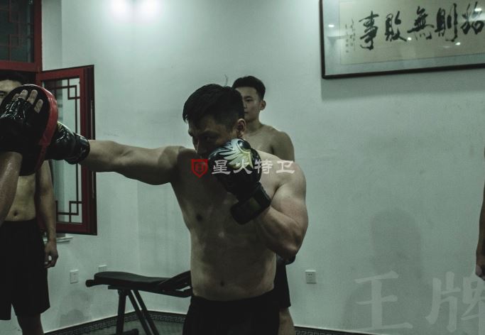 星火保镖公司专业训练体系揭秘：锻造顶尖安全卫士的熔炉