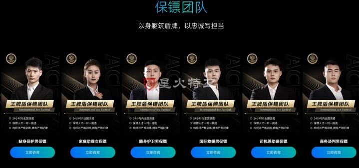 上海车展保镖工作：高规格安保下的挑战与机遇