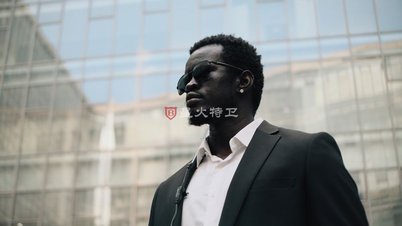 岁末的价格逻辑：星火保镖公司的服务定价策略